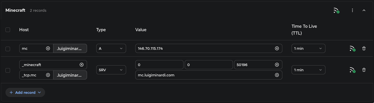 image showing filled Host and Values on A and SRV type DNS records with TTL set to 1 minute
