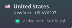 proton VPN UI showing which server I&rsquo;m connected to and the port I have open in it